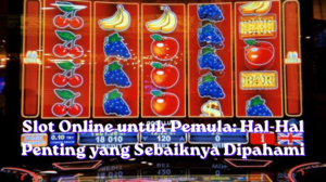 Slot Online untuk Pemula: Hal-Hal Penting yang Sebaiknya Dipahami